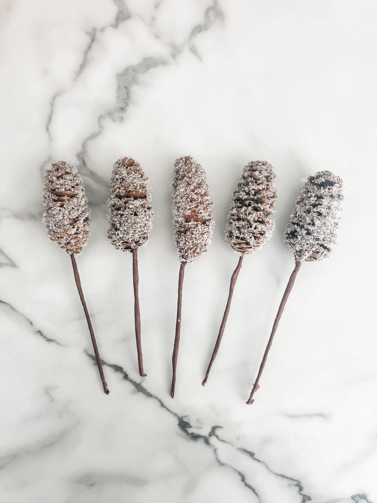 Large Snowy Pinecone Pick - Set of 5