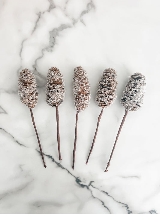 Large Snowy Pinecone Pick - Set of 5