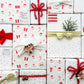 Holiday Wrapping Kit - Santa