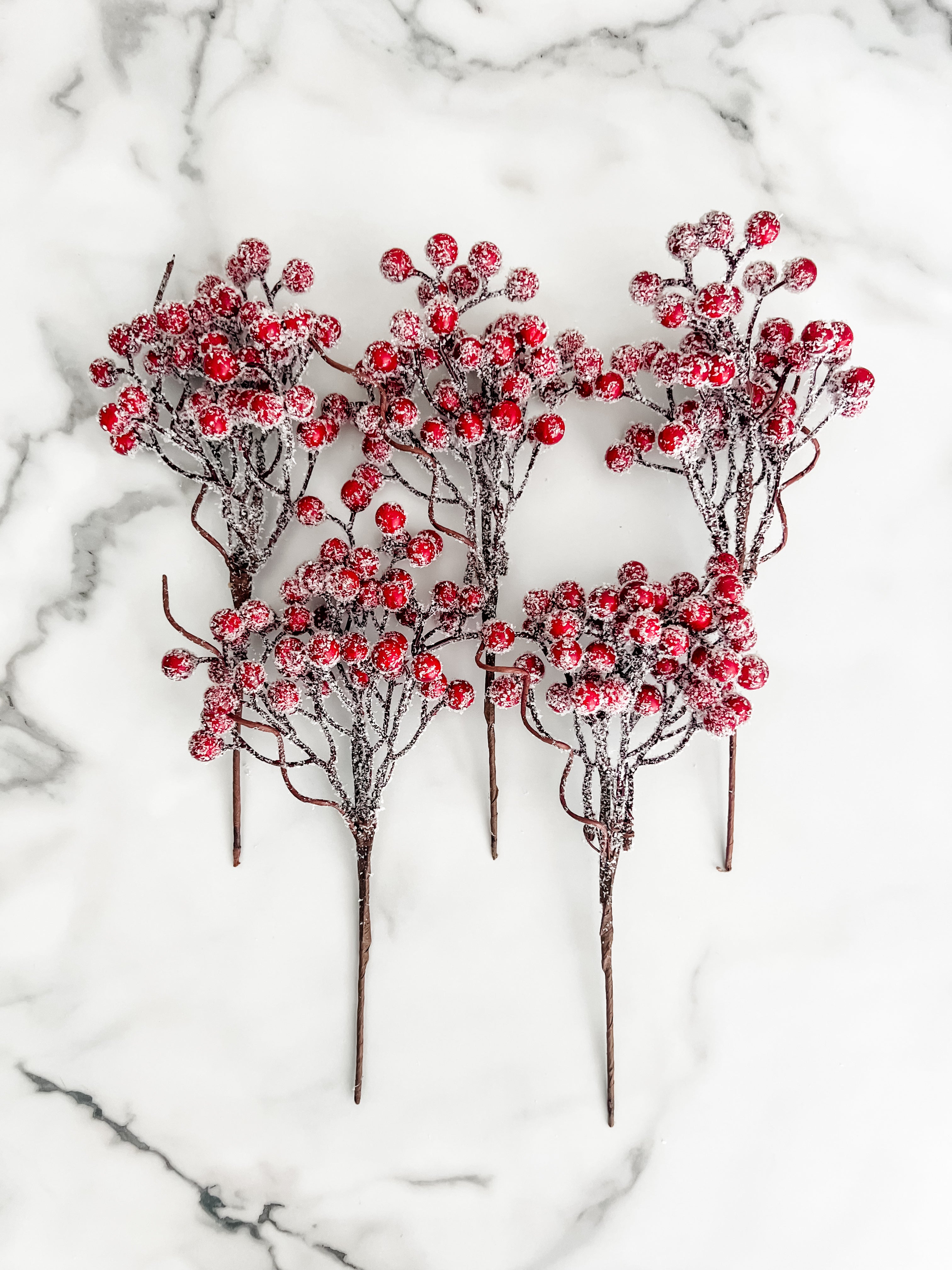 Frosted Berry Sprig Pick Stem - Set of 5