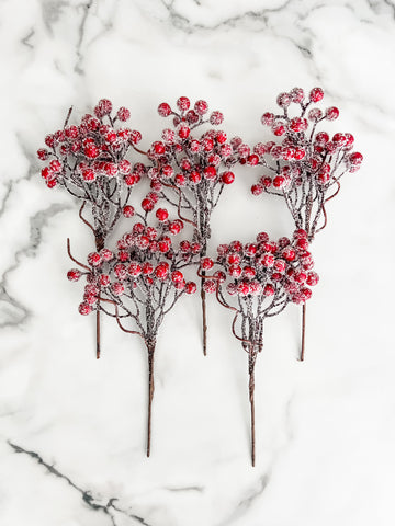 Frosted Berry Sprig Pick Stem - Set of 5