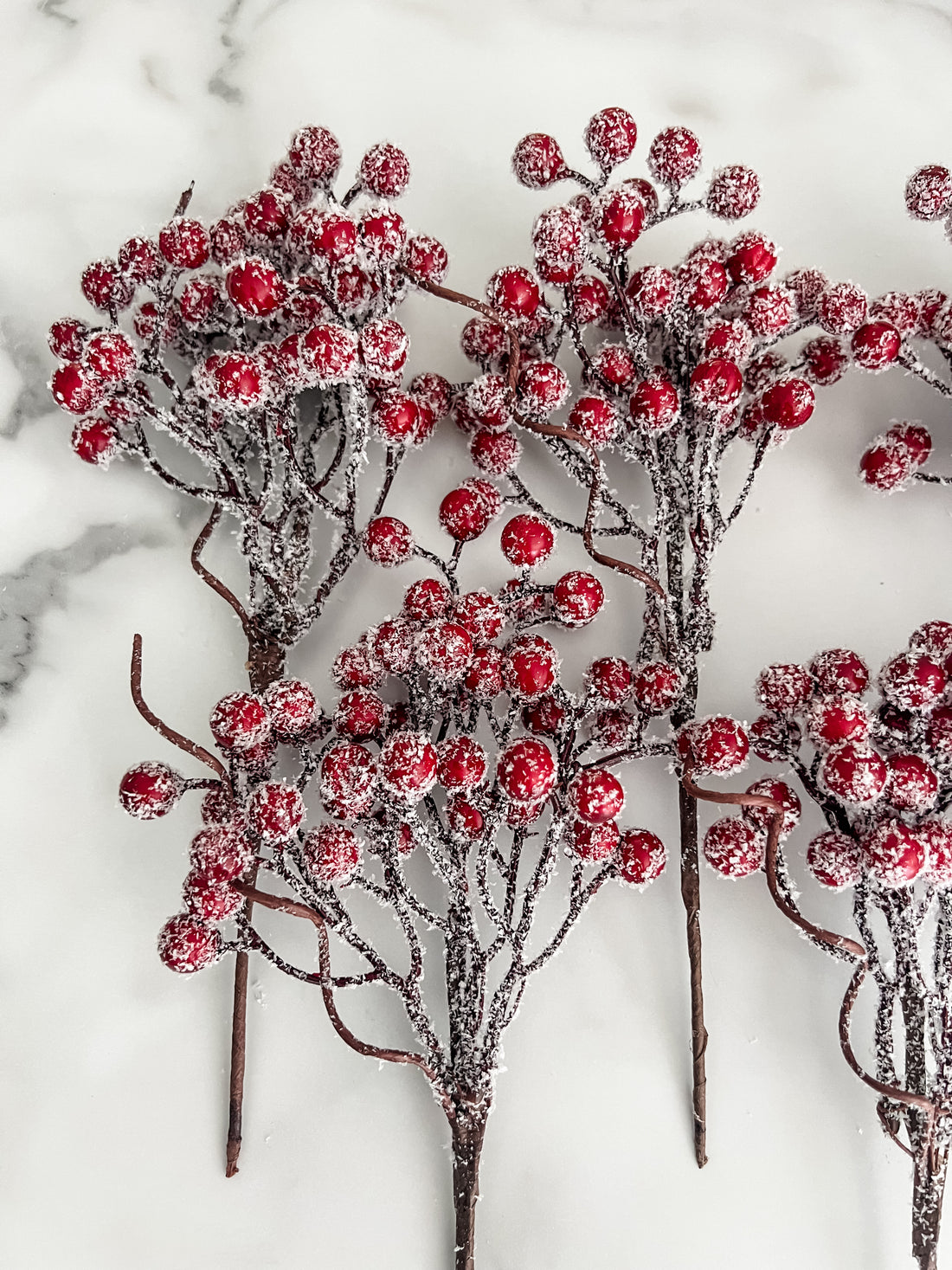 Frosted Berry Sprig Pick Stem - Set of 5