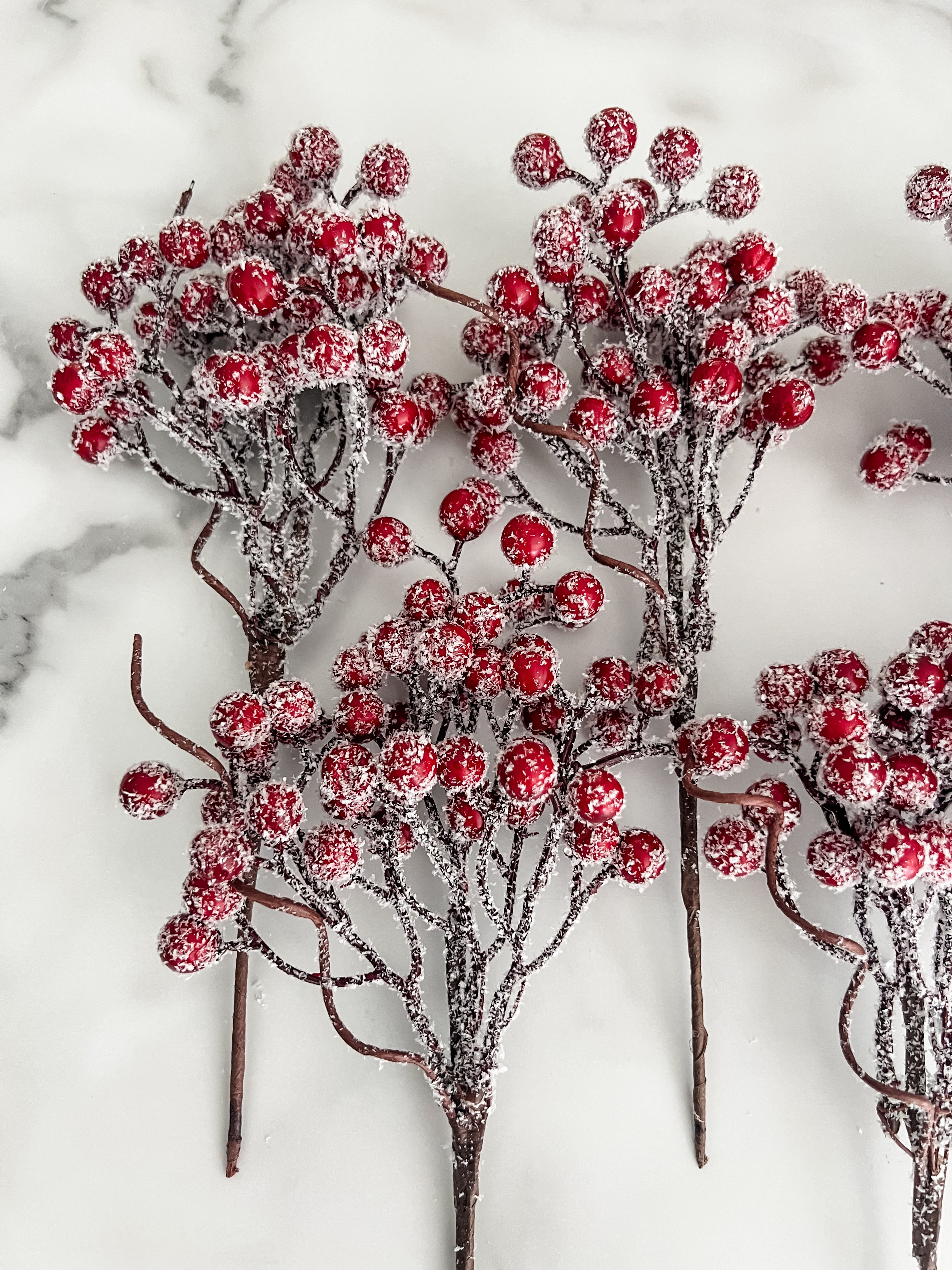 Frosted Berry Sprig Pick Stem - Set of 5