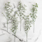 Snowy Greenery Sprigs - Set of 5