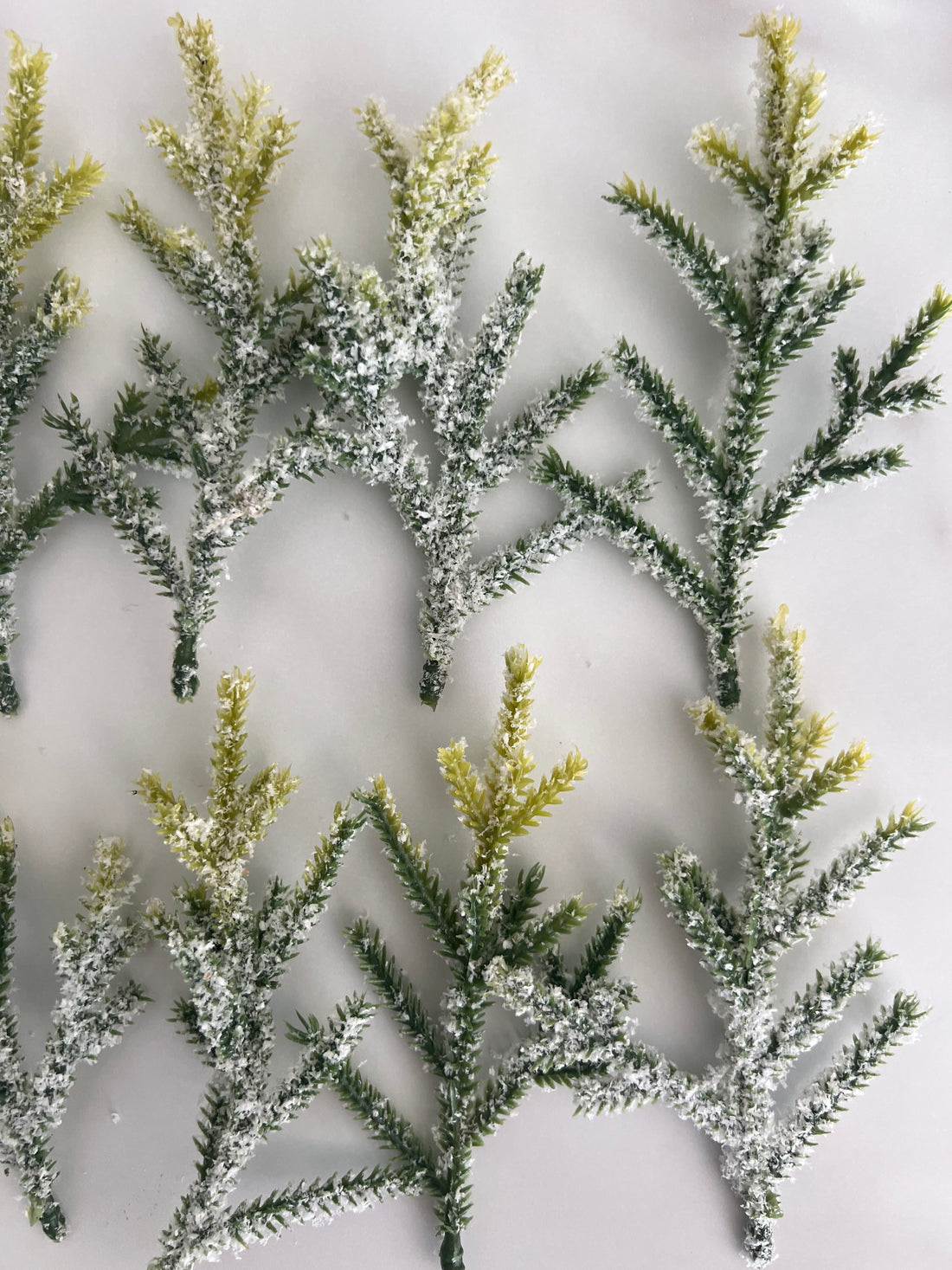 Snowy Sprigs - Set of 10